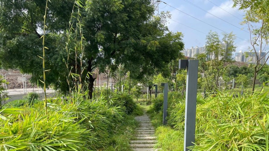 印度戈德雷吉河山中央绿地丨不详-13