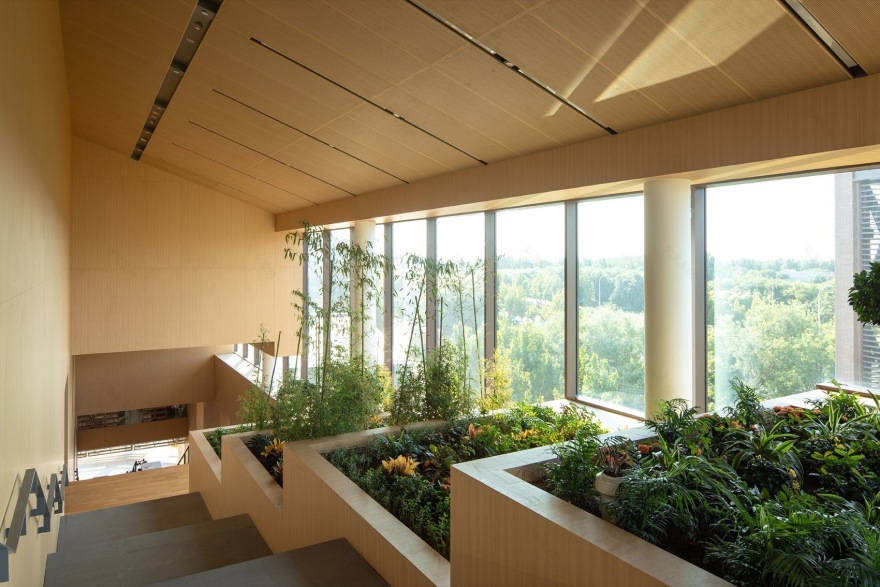 天津光华外国语学校丨中国天津丨天津华汇工程建筑设计有限公司-109