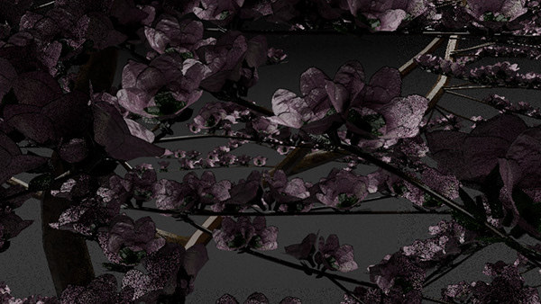 一般资产组合-10