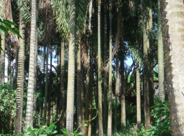 丨Buensalido+Architects-3