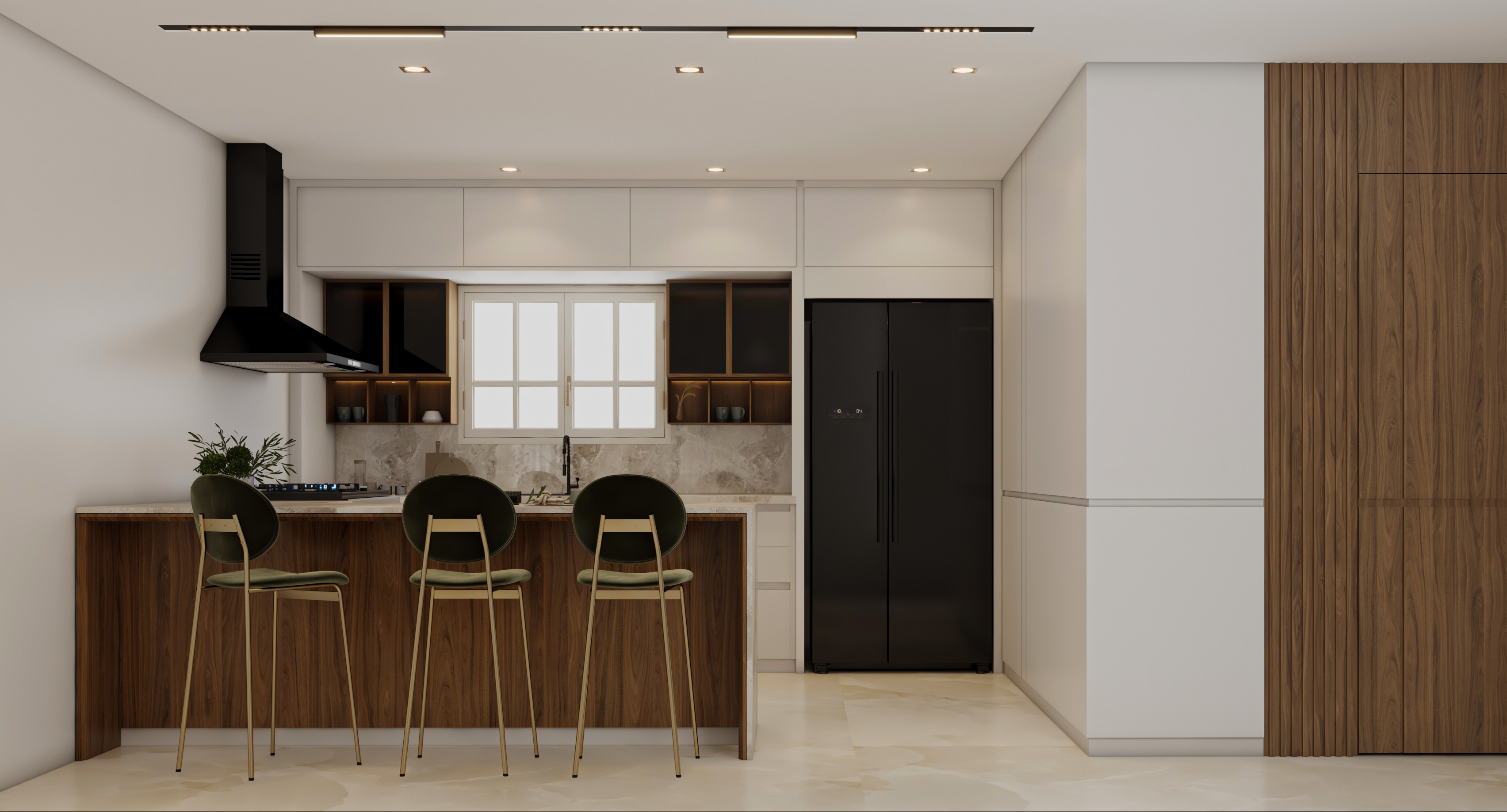 Modern Living Area & Kitchen-1