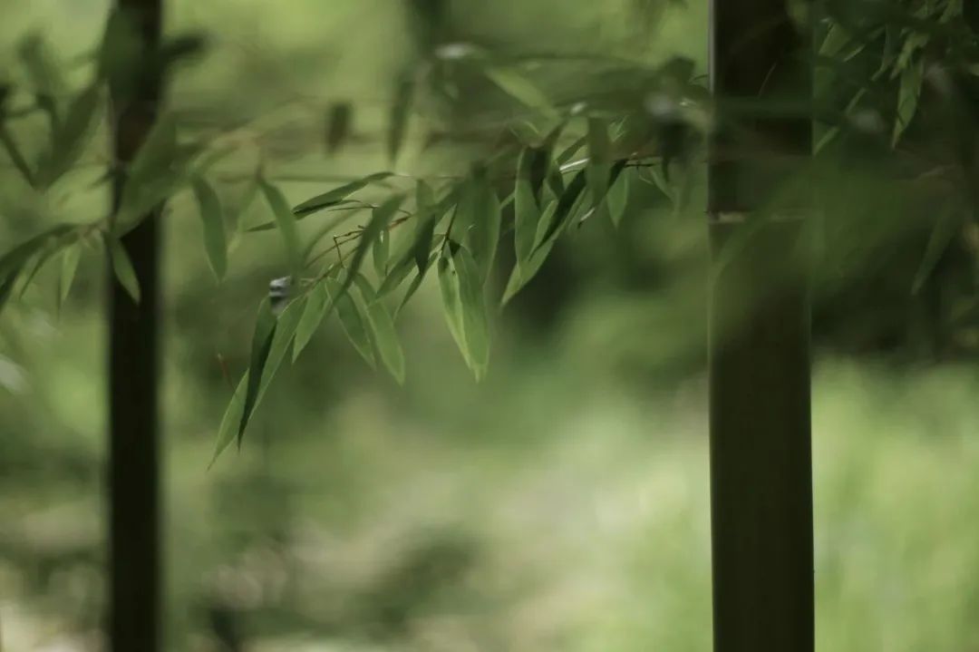 春山在望 RESUN丨中国江苏丨尚壹扬设计-15