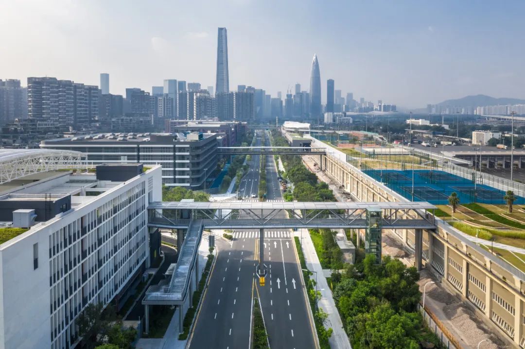 南山三桥 | 现代景观设计的人行天桥新篇章-24