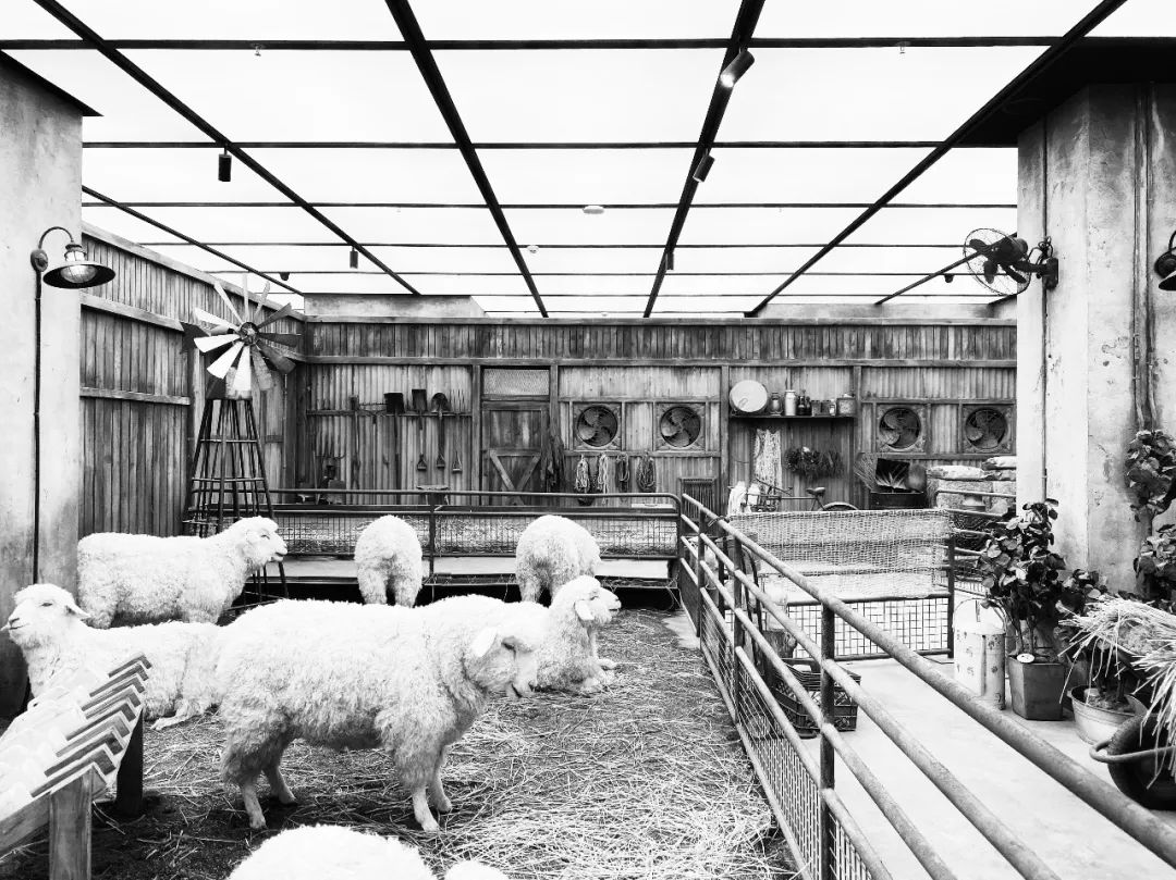 2019DPD 设计实践回顾，呈现商业、设计与艺术的融合-65