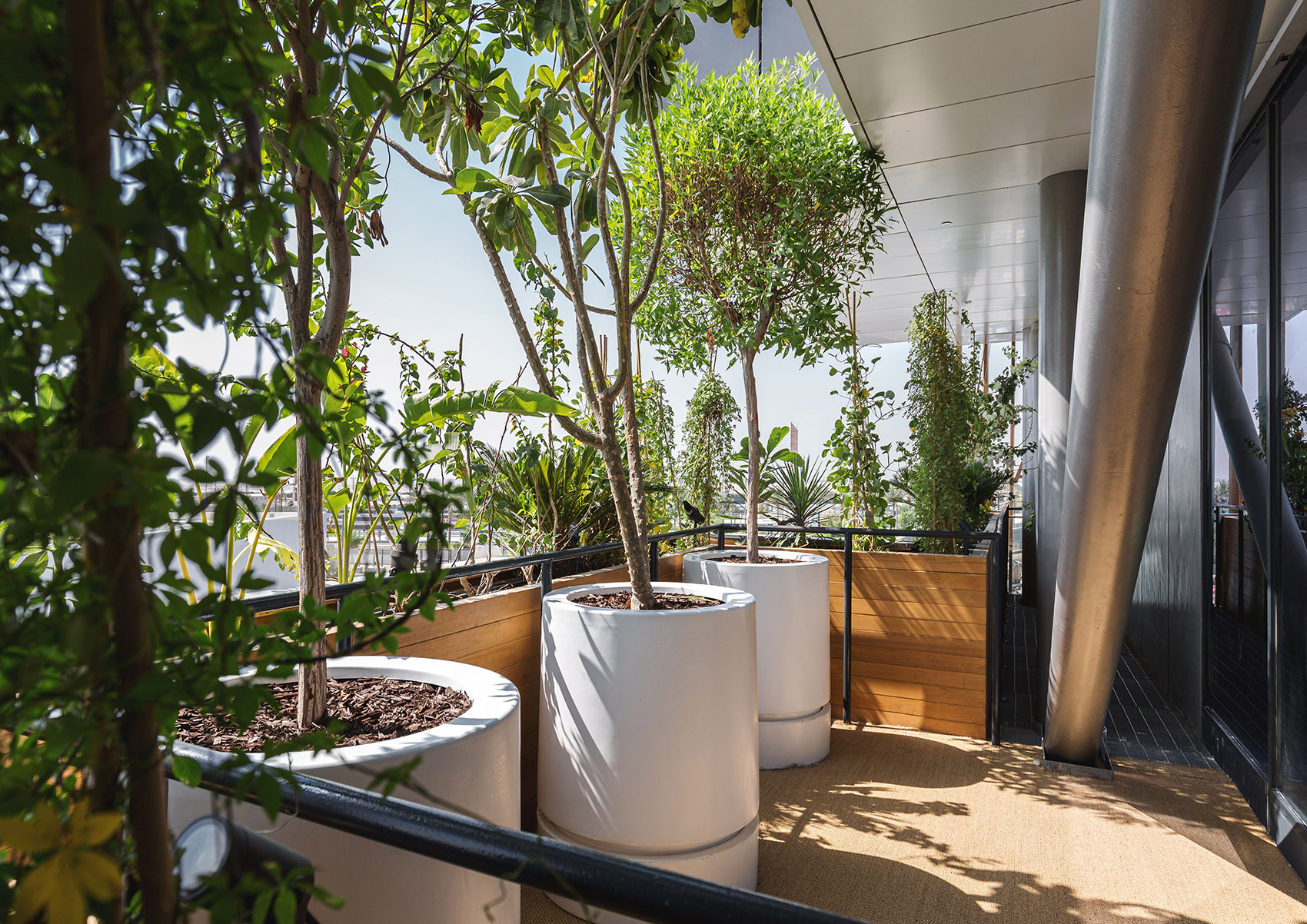 绿色拱门&2020迪拜世博会比利时馆丨阿联酋迪拜-90