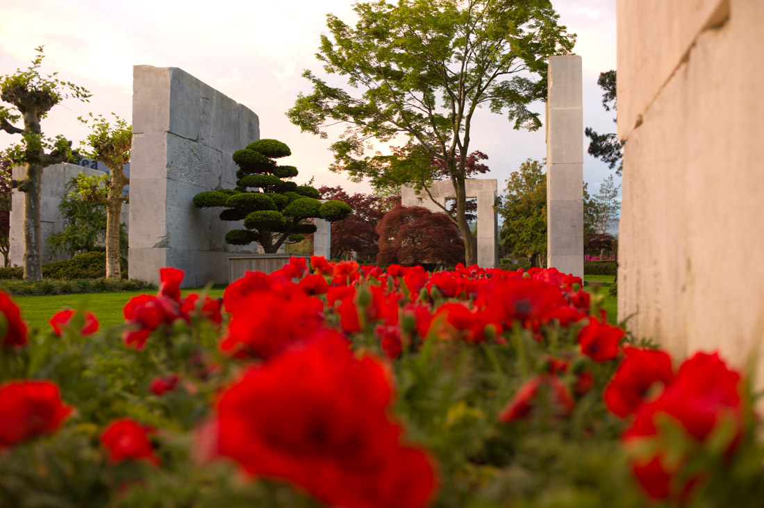 瑞士树博物馆丨Enzo Enea-7