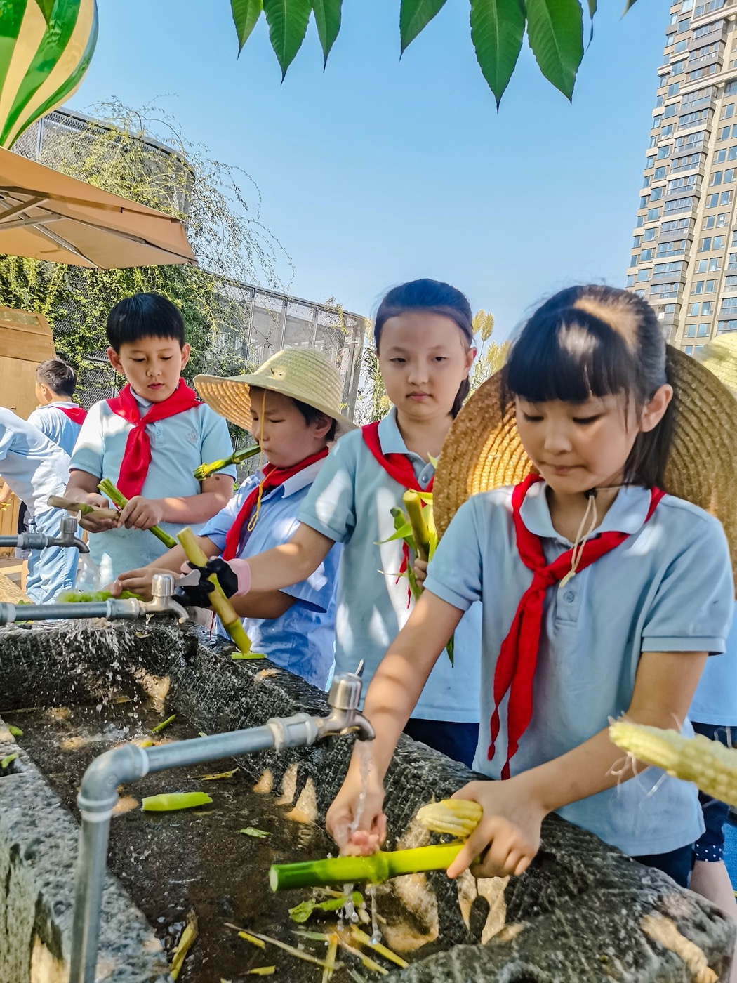南京志远外语学校天空之园丨中国南京丨南京林业大学风景园林学院团队-31