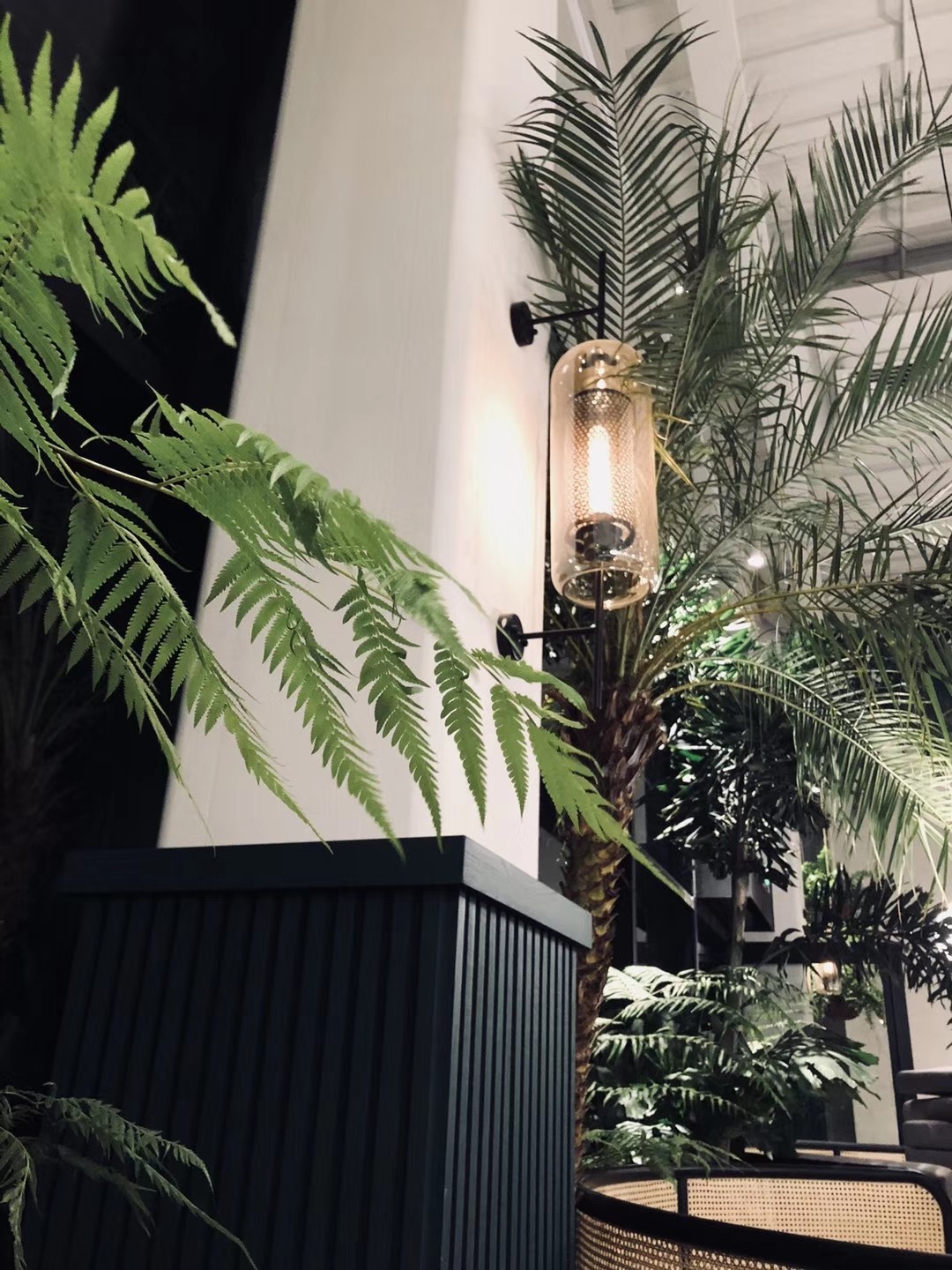 意外走红的"gaga Garden" | 旧桌布局新风貌-1