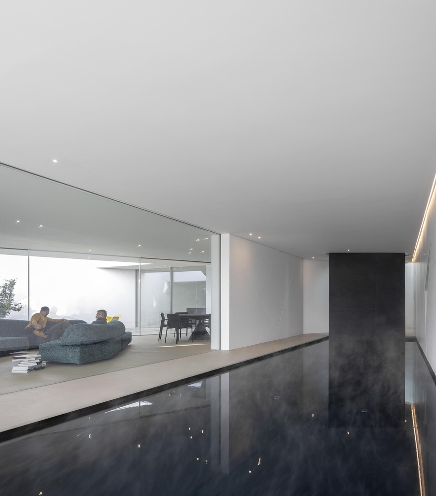 Diamond Tree（钻石树）-56