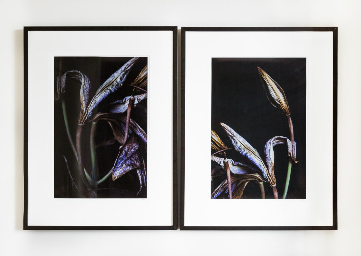 Brio-insignia belltown-13