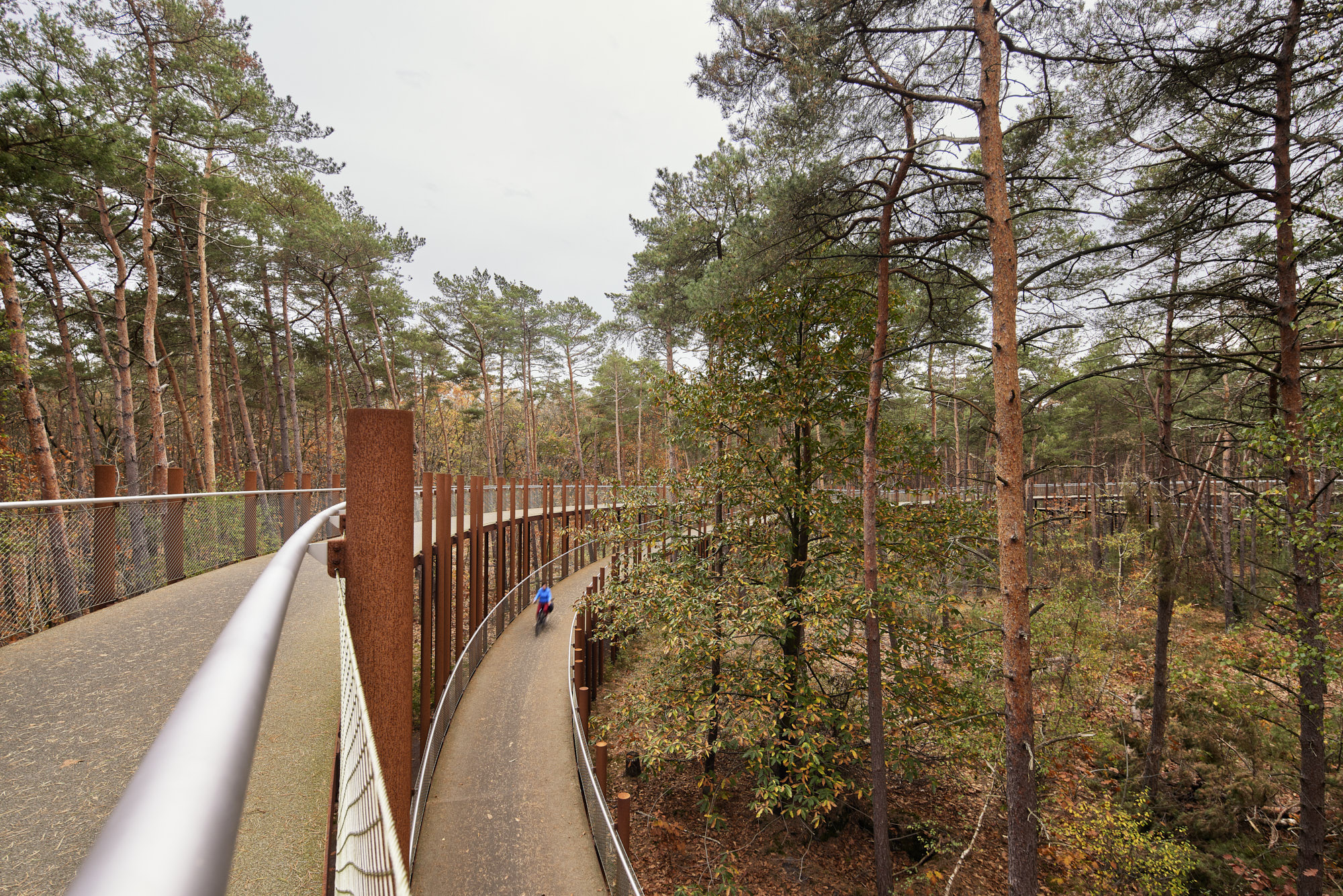 在树林中骑行丨Visit Limburg-13