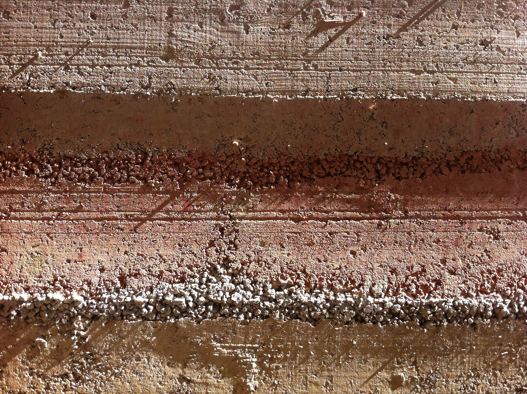 林建筑－与自然树木的共舞 / 迹·建筑事务所（华黎）-201