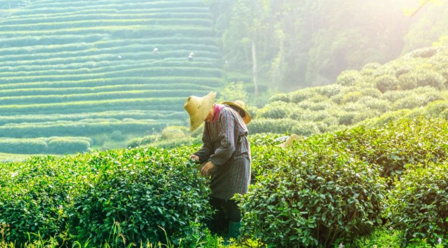 春日新绿,生活的温柔艺术-30