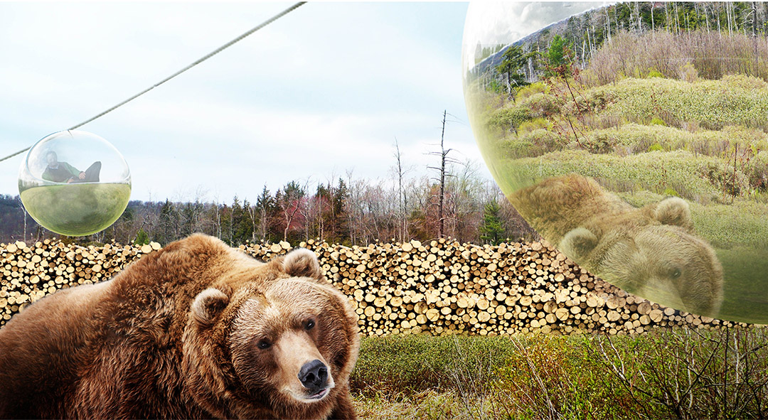 人造系统生态动物园,丹麦 / BIG-5