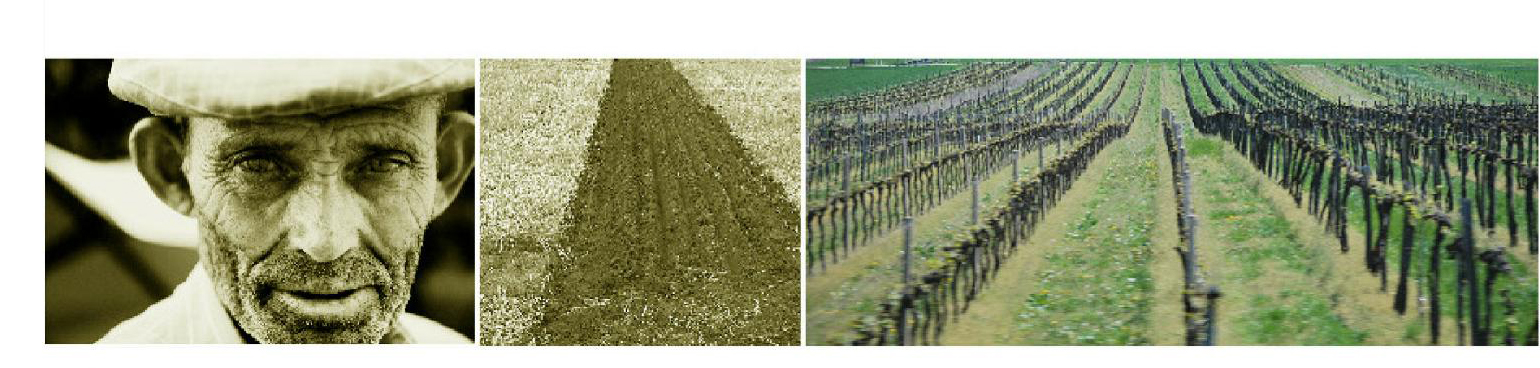 欧洲建筑竞赛10（注：EUROPAN是欧洲建筑竞赛的英文名称，EUROPAN 10一般指该竞赛的第十届） 丨奥地利丨Andrei Șerbescu,Adrian Untaru等-6