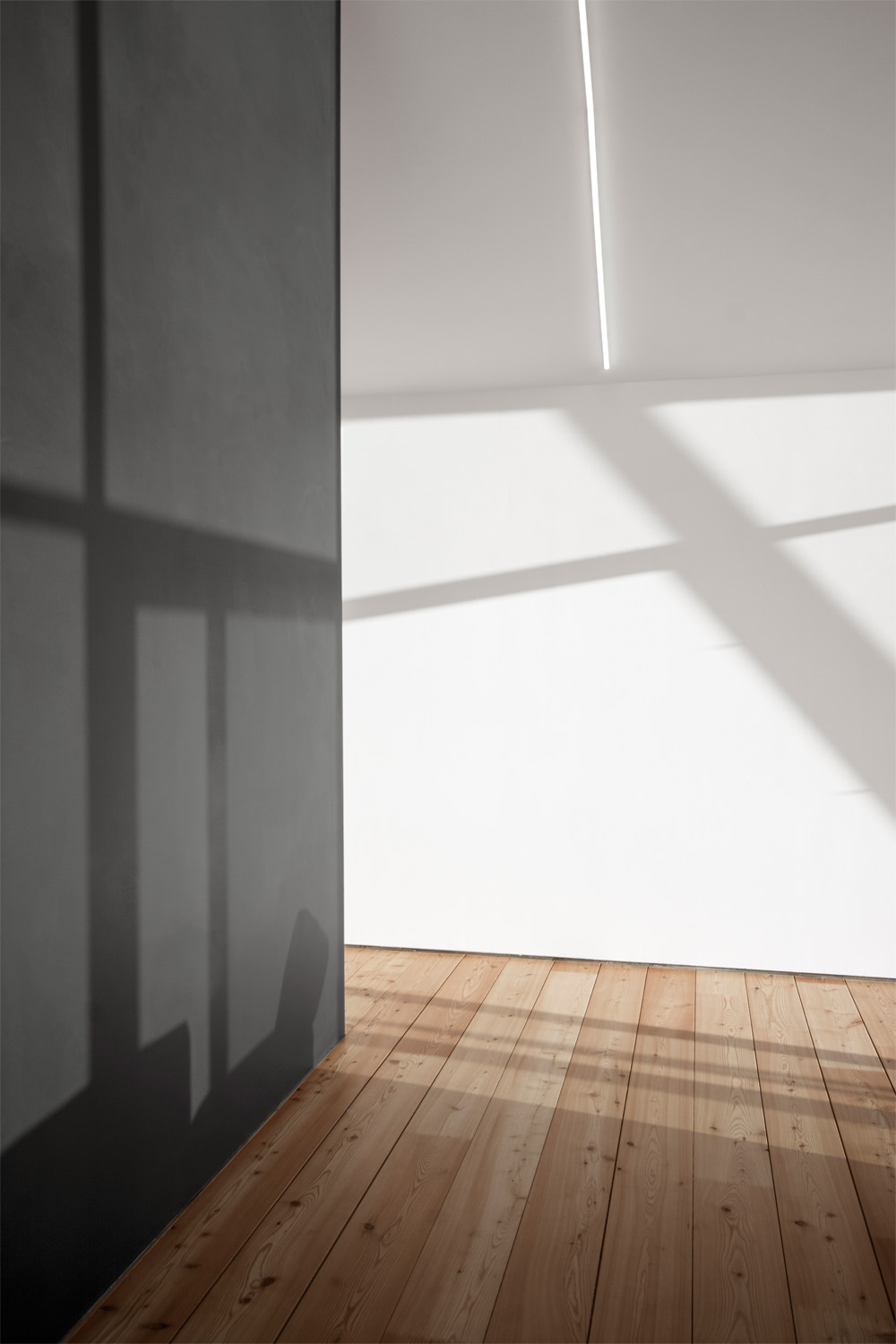 果园中的家园-50