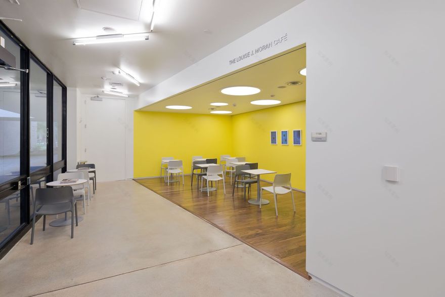 重塑 Blaffer 艺术博物馆 · WORKac 的巧妙设计-9