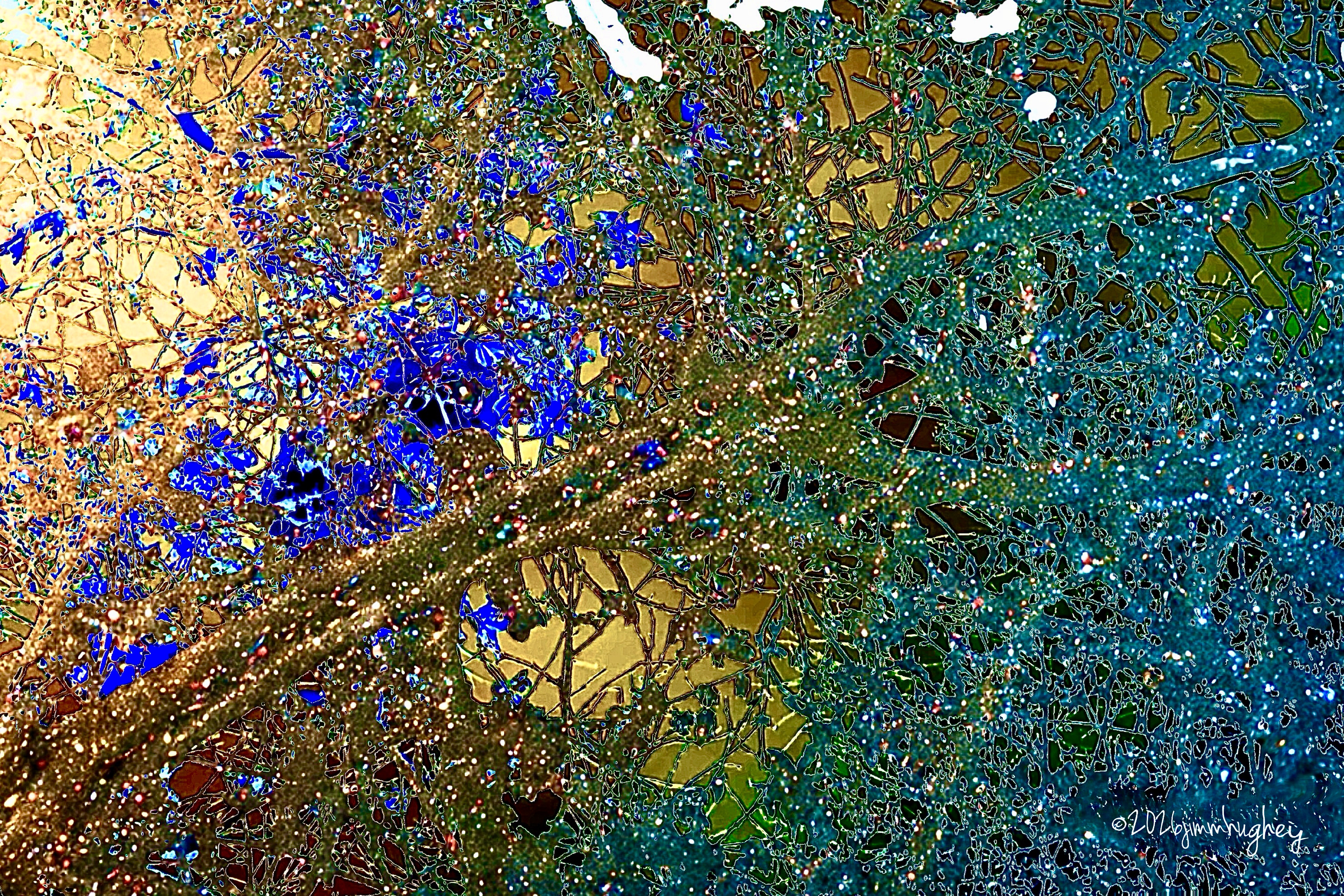 世界上的树木丨Sylvie D.-143