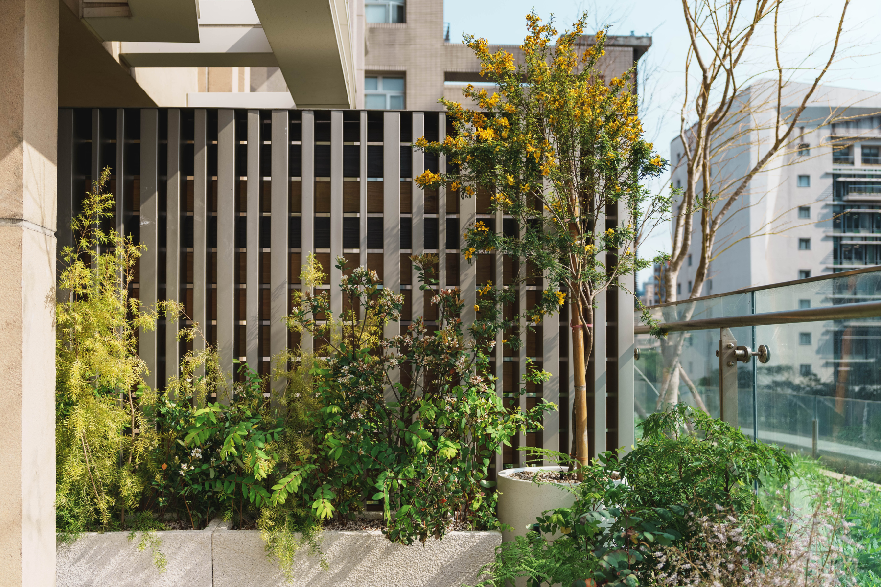 住宅案 | 板橋區 | 私宅花園設計-3