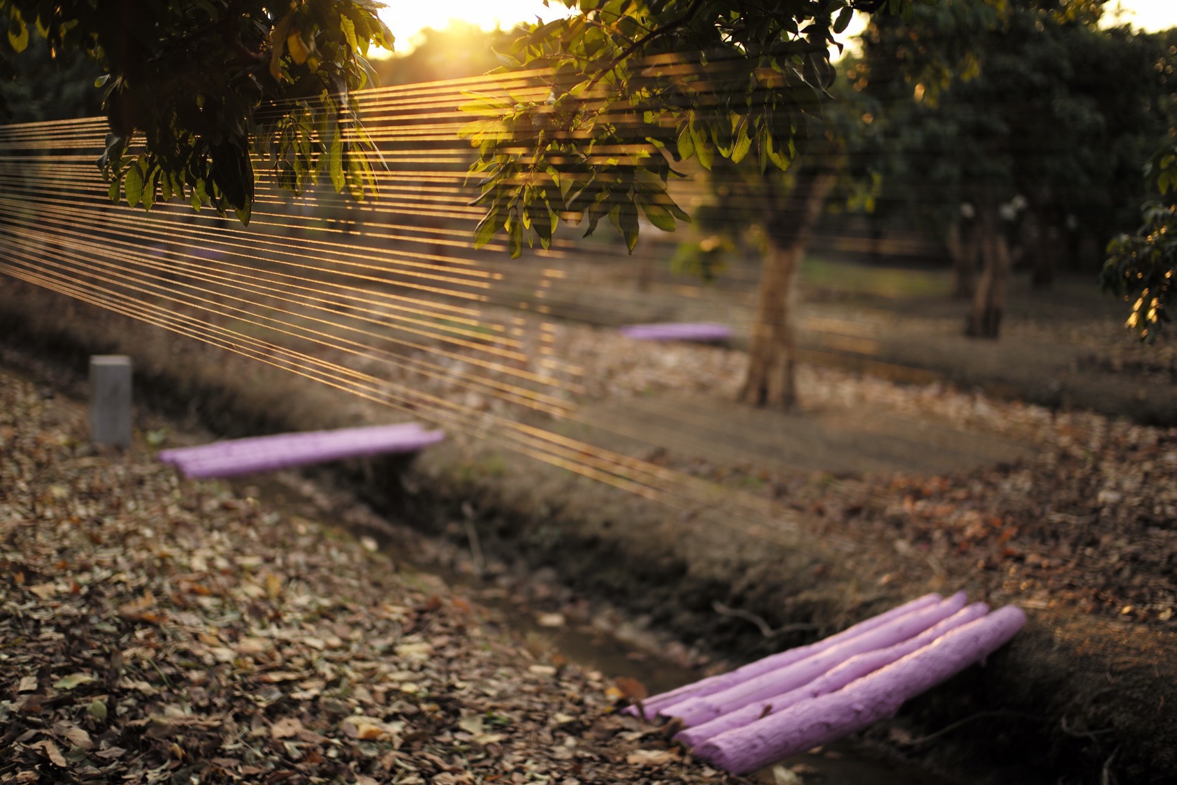 川行,CROSSING MEMORY丨中国广州丨北京林业大学 + LAIBA STUDIO-61