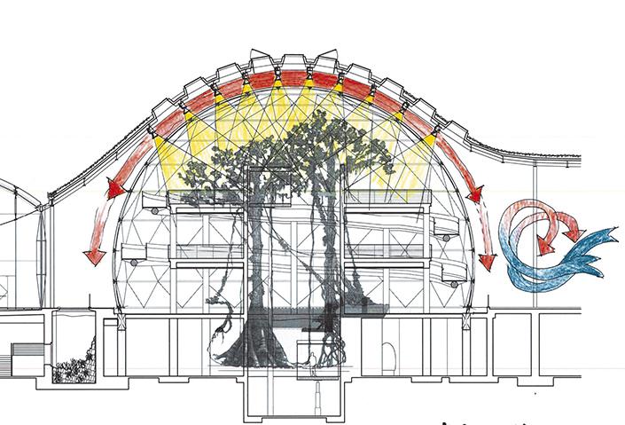 加州科学院新馆 | 绿色环保的设计典范-25