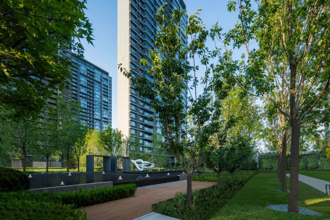 中交·楼山春晓·青岛丨中国青岛丨麦田景观-2