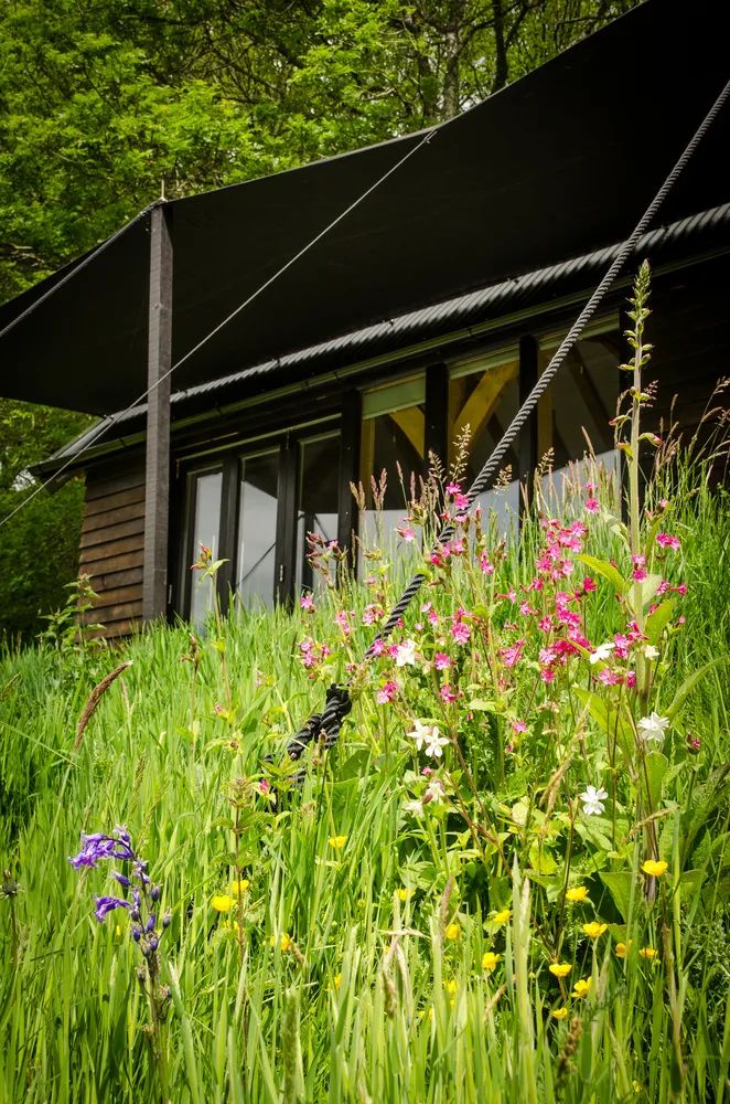 24 平米橡木小屋,绿色可持续的城市商业产品-26