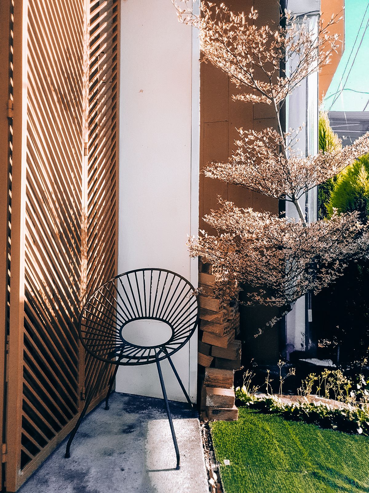 Vibati Coffee(乡间咖啡馆的逆袭)-36