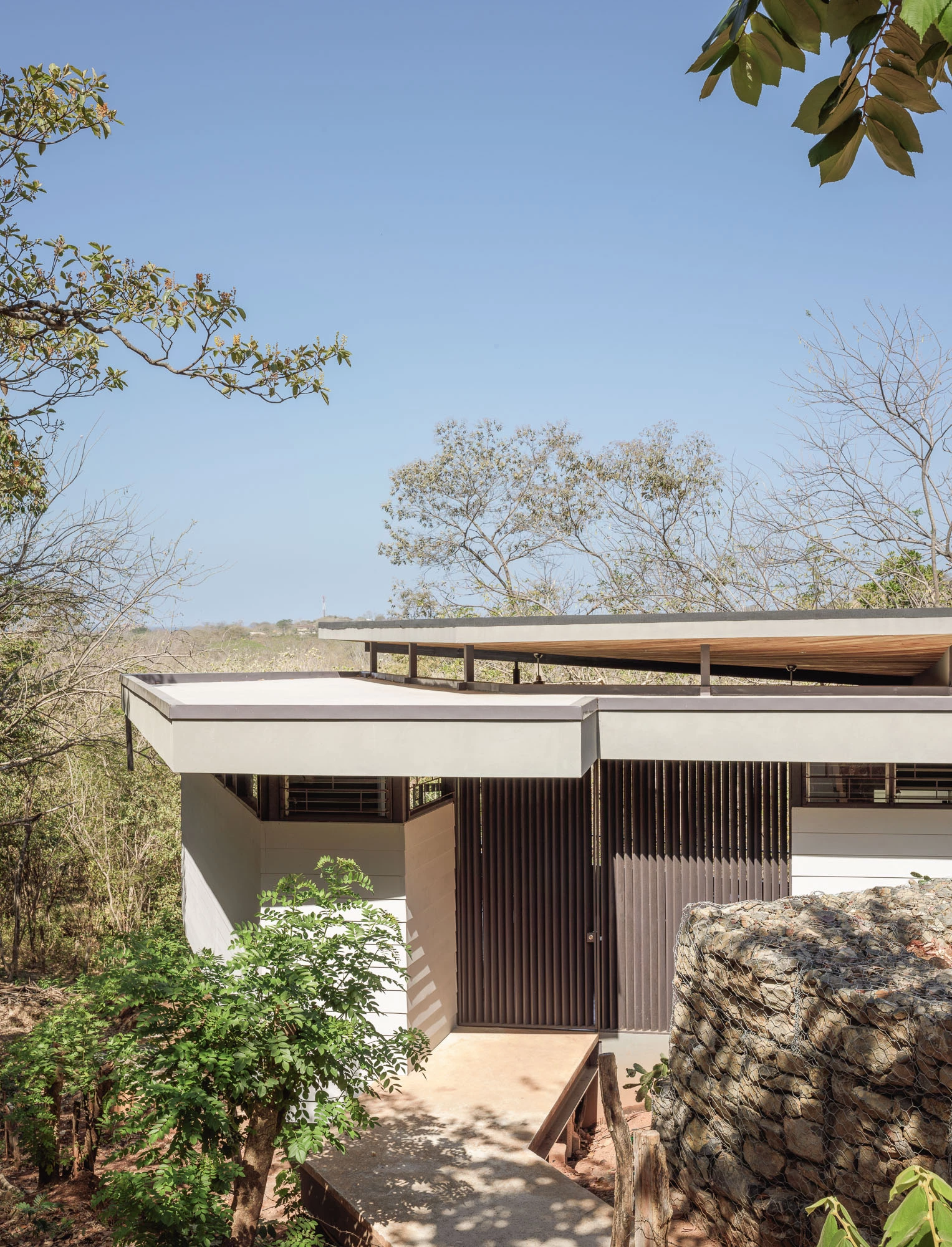 悬浮叶屋 · 绿色走廊中的生态住宅-10