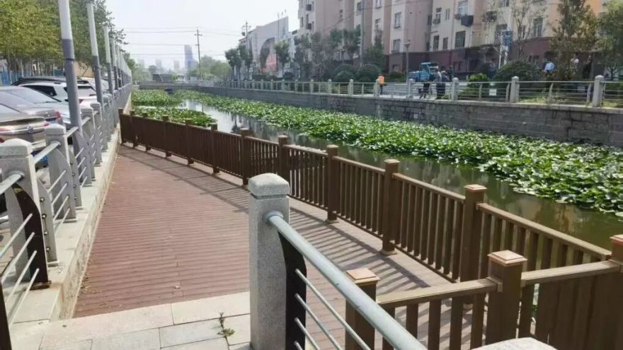 打造家门口的“生态绿岛”!中建八局胶州云溪河护城河绿廊项目顺利竣工-58