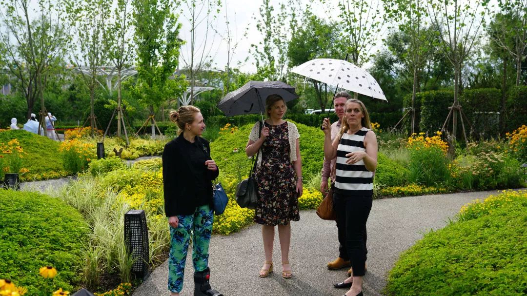 世园会澳大利亚日，感受“慢生活”展园之美-13