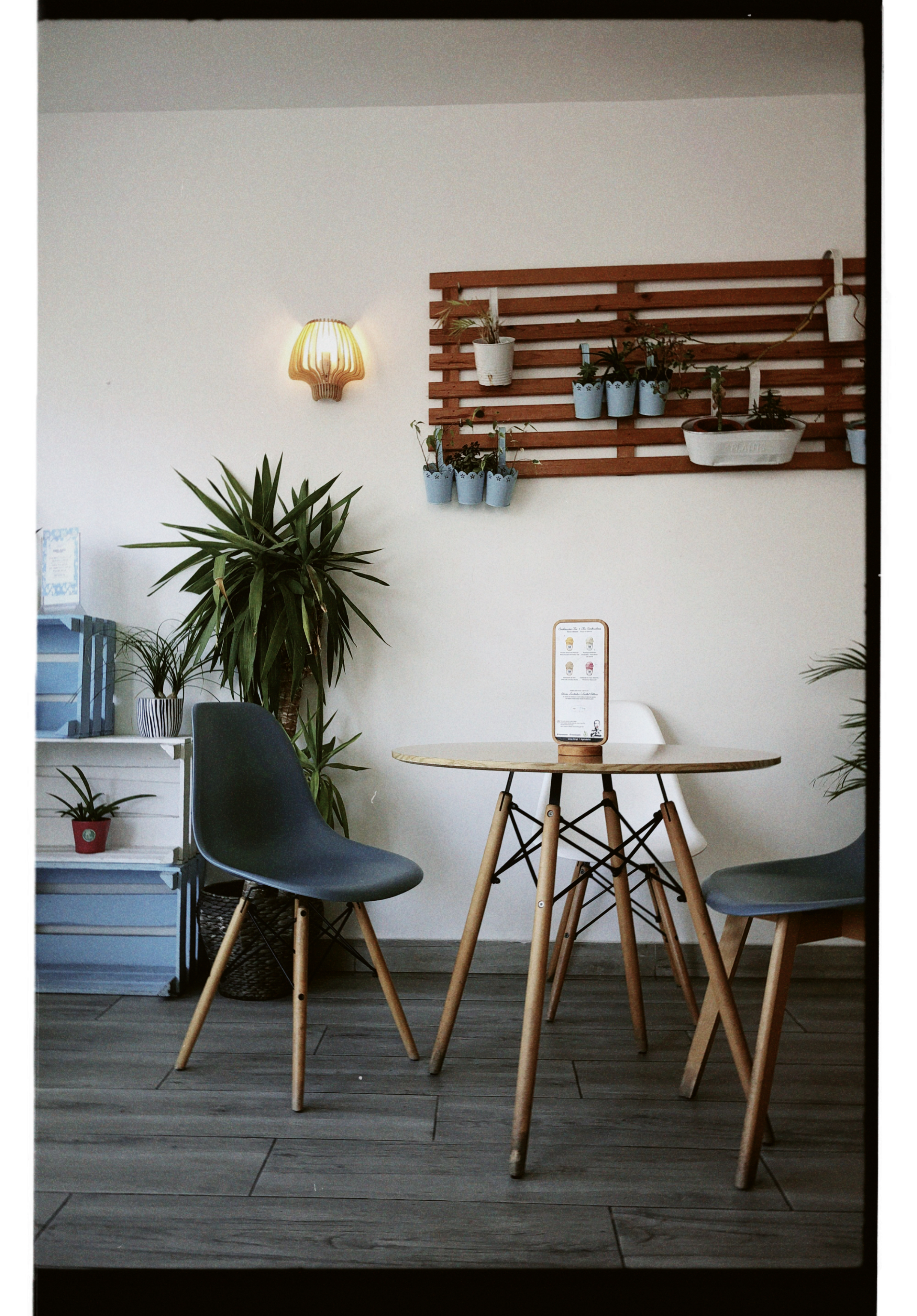 Caldas da Rainha, Portugal-9