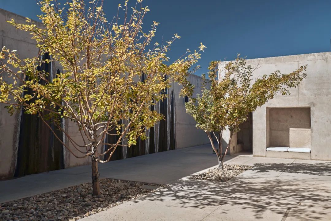 美国犹他州 Amangiri 度假村 | 色彩诱惑与沙漠宁静的完美结合-12