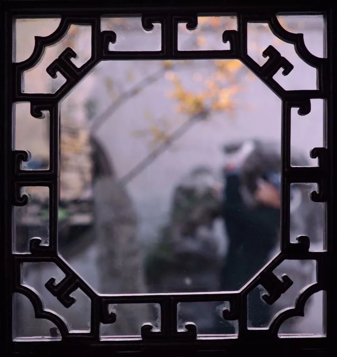 窗景如诗 | 四季园林,诗意生活-121