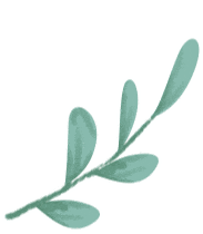 海派花境的几何抒情诗 ——华润南房士林润园,以花境重译中西交融的时光诗篇-95