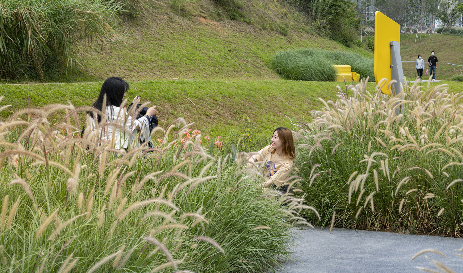 中山大学附属第七医院周边景观焕新项目丨中国深圳丨L&A Design（含多团队）-48