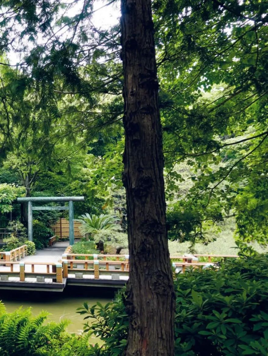 竹谧·隈研吾 | 自然与建筑的诗意共生-41