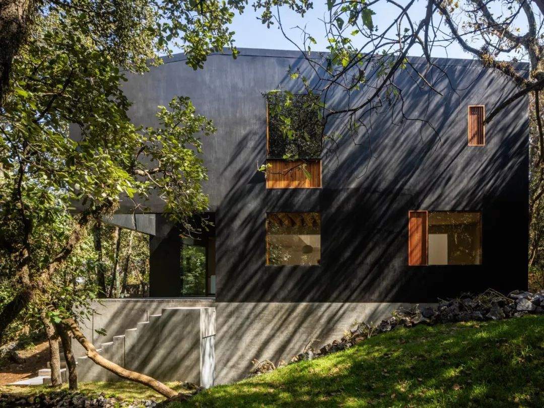 自然灵感,建筑生命——PPAA 的开放设计理念-4