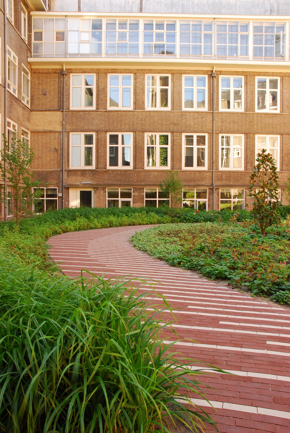 Roeterseiland,阿姆斯特丹大学景观设计丨荷兰阿姆斯特丹-30