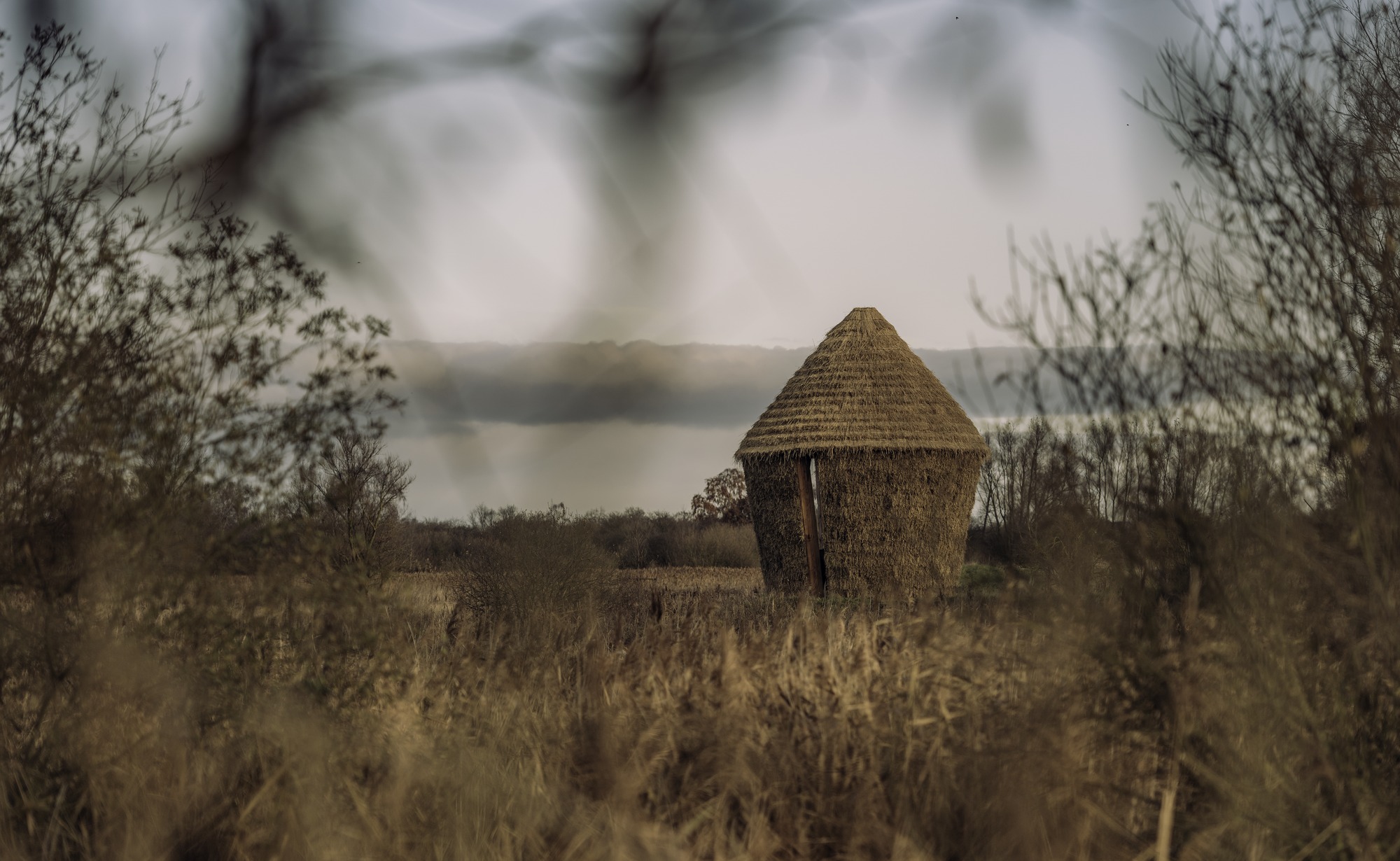 Mother Pavilion / Studio Morison-33