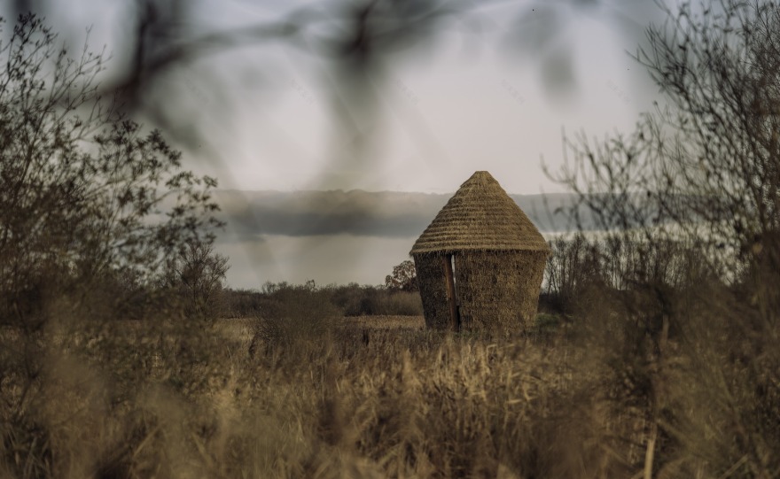 Mother Pavilion / Studio Morison-33