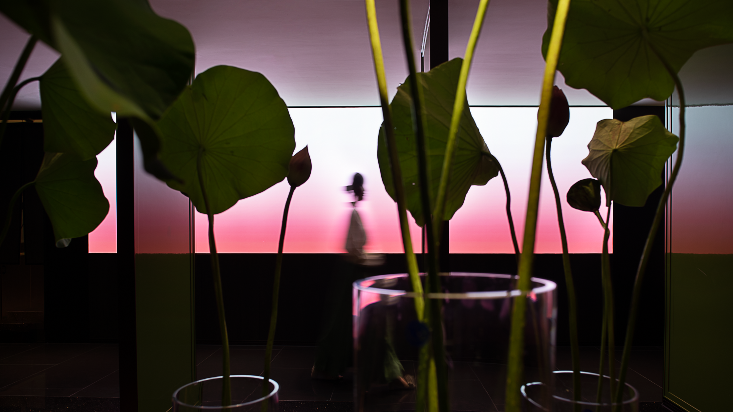 湘之荷·紫园餐厅丨中国杭州丨雷健（Ray）,李闻,张宇-39