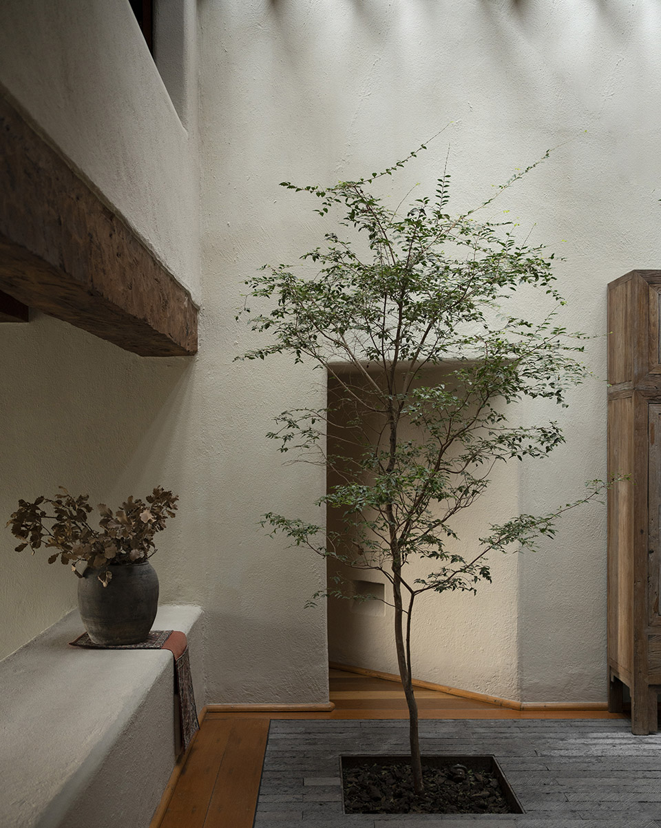 林中之屋丨墨西哥丨direccion-12