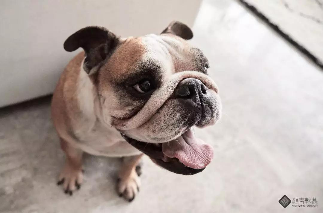 杂志风来啦，高颜值摄影师夫妇的家，短短几分钟火速霸屏了整个朋友圈！-50