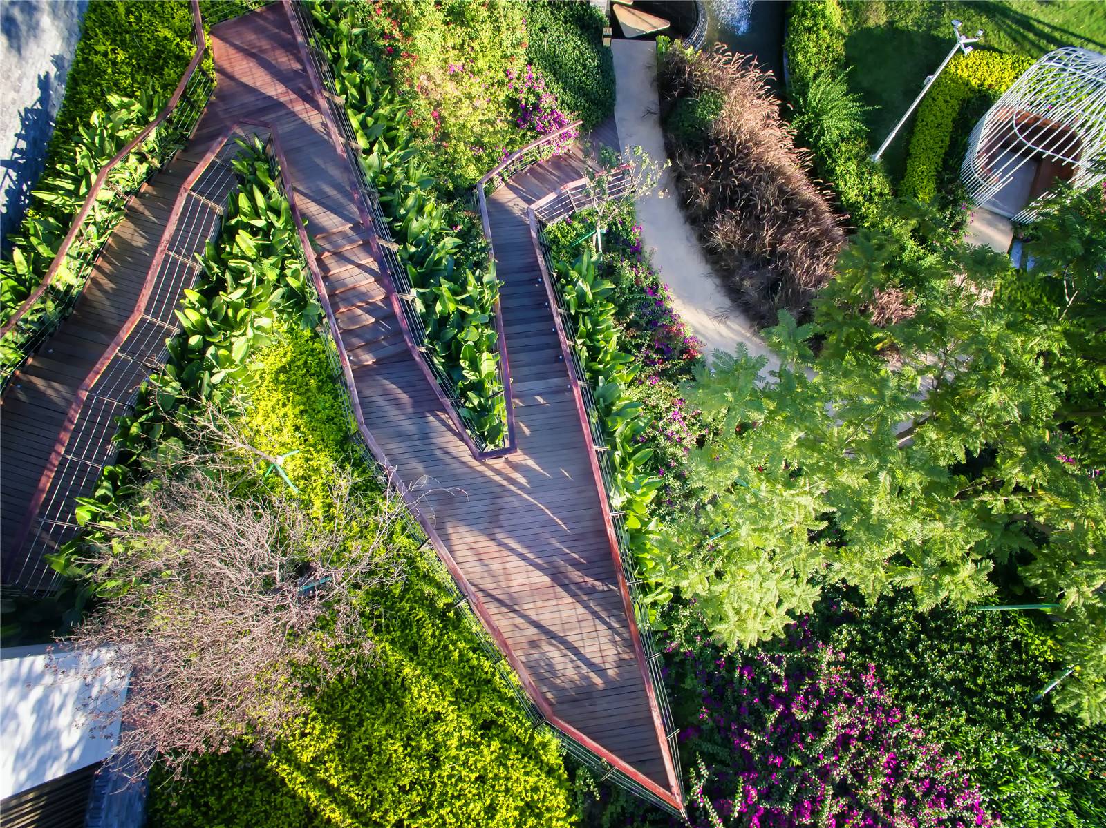 四川攀枝花中央公园-12