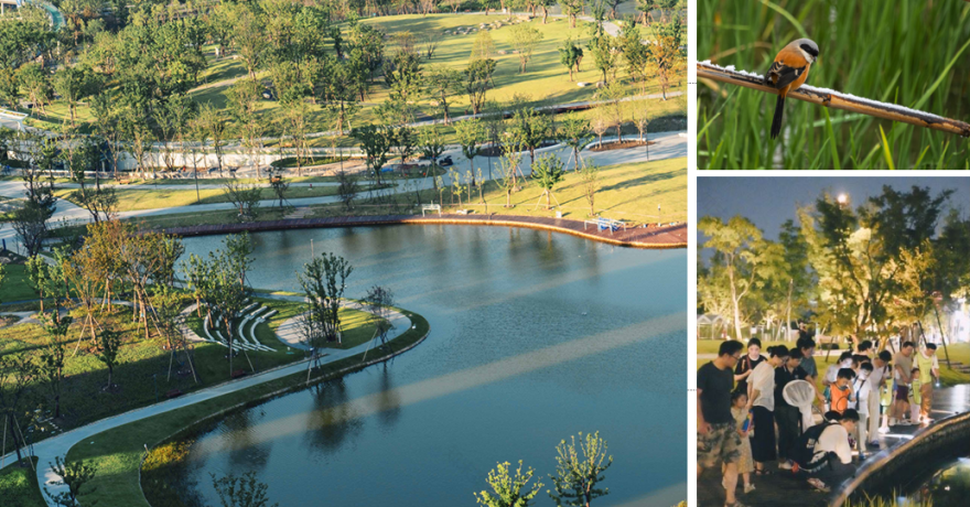 杭州运河亚运公园-61