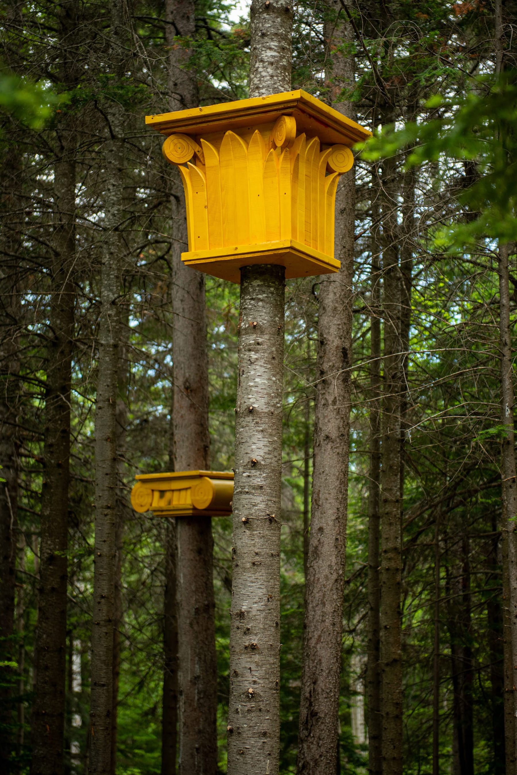 2019加拿大国际花园节(第二部分),Reford Gardens-77