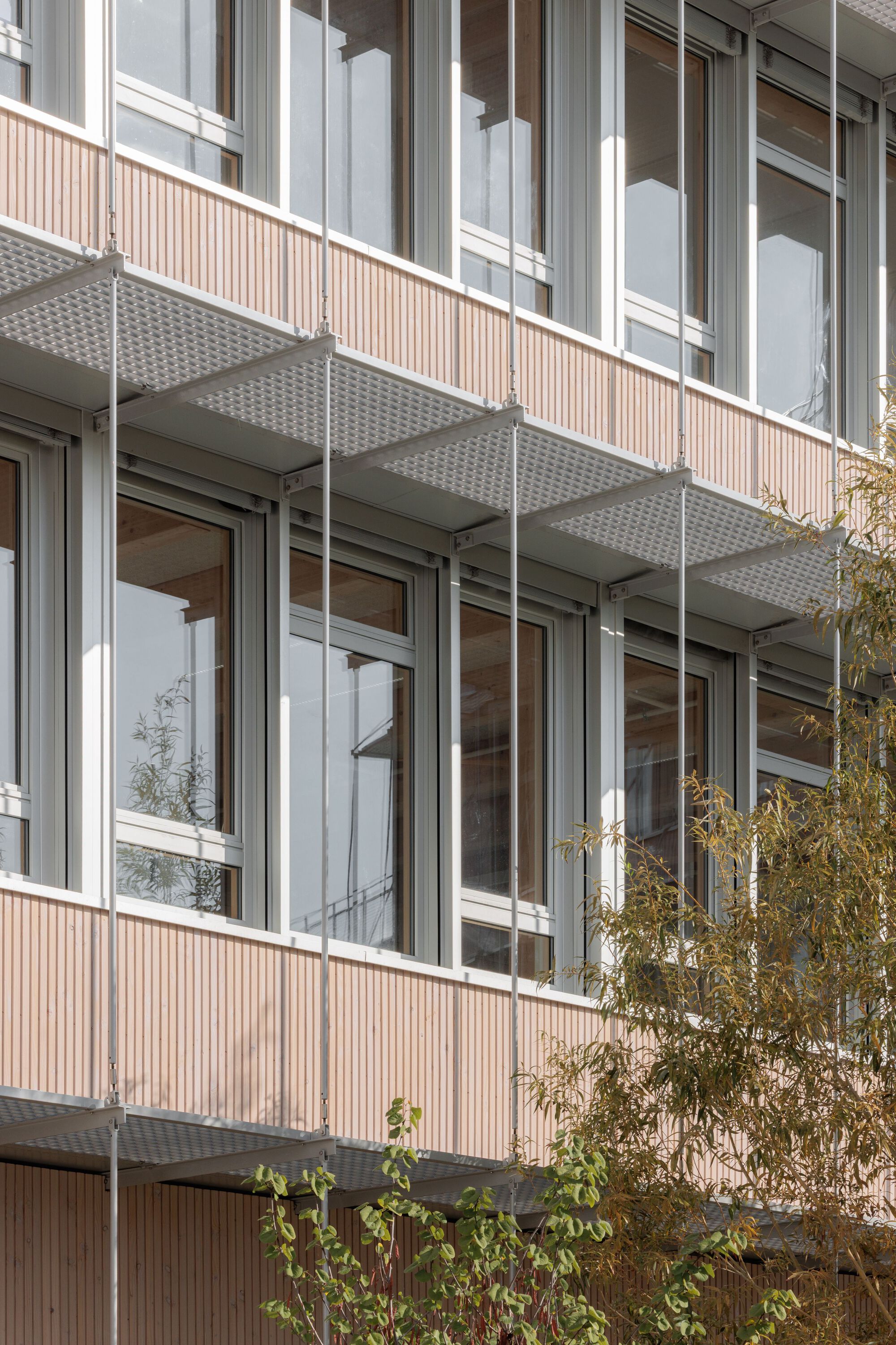 多米尼克·弗雷洛学校集团丨法国丨Tectoniques-54