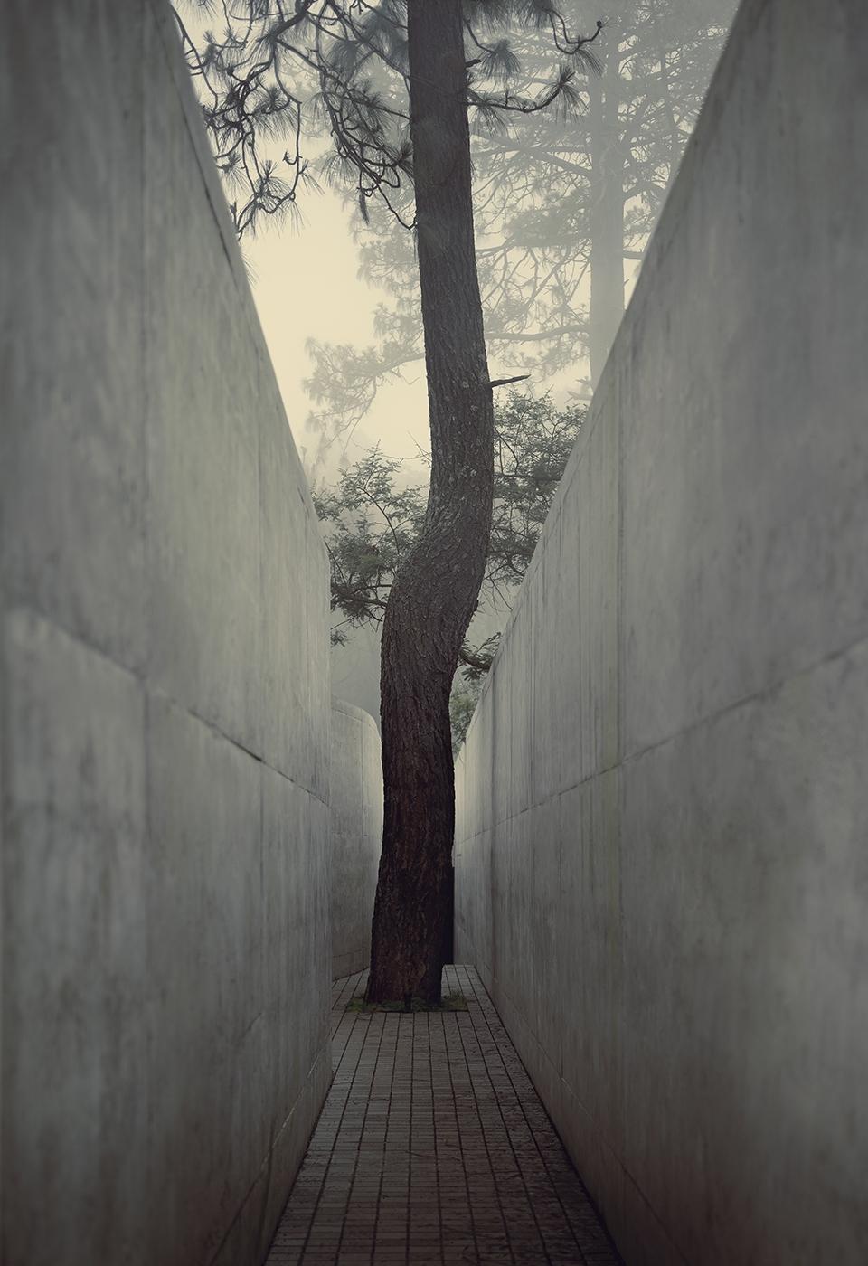 墨西哥山丘住宅丨HW STUDIO-18