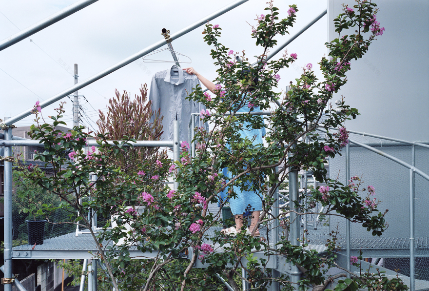 Daita2019 House / Suzuko Yamada Architects-40